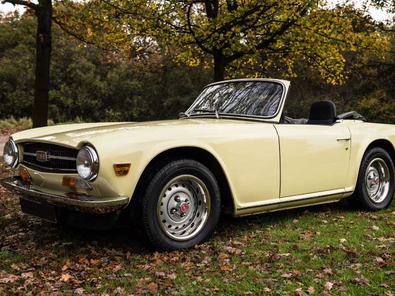 triumph tr6